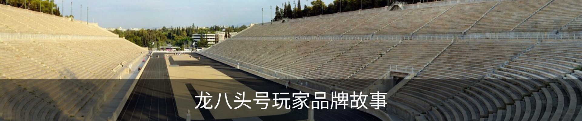 龙八头号玩家品牌故事