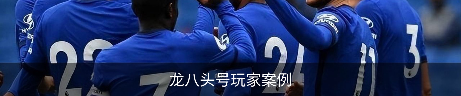 龙八头号玩家案例